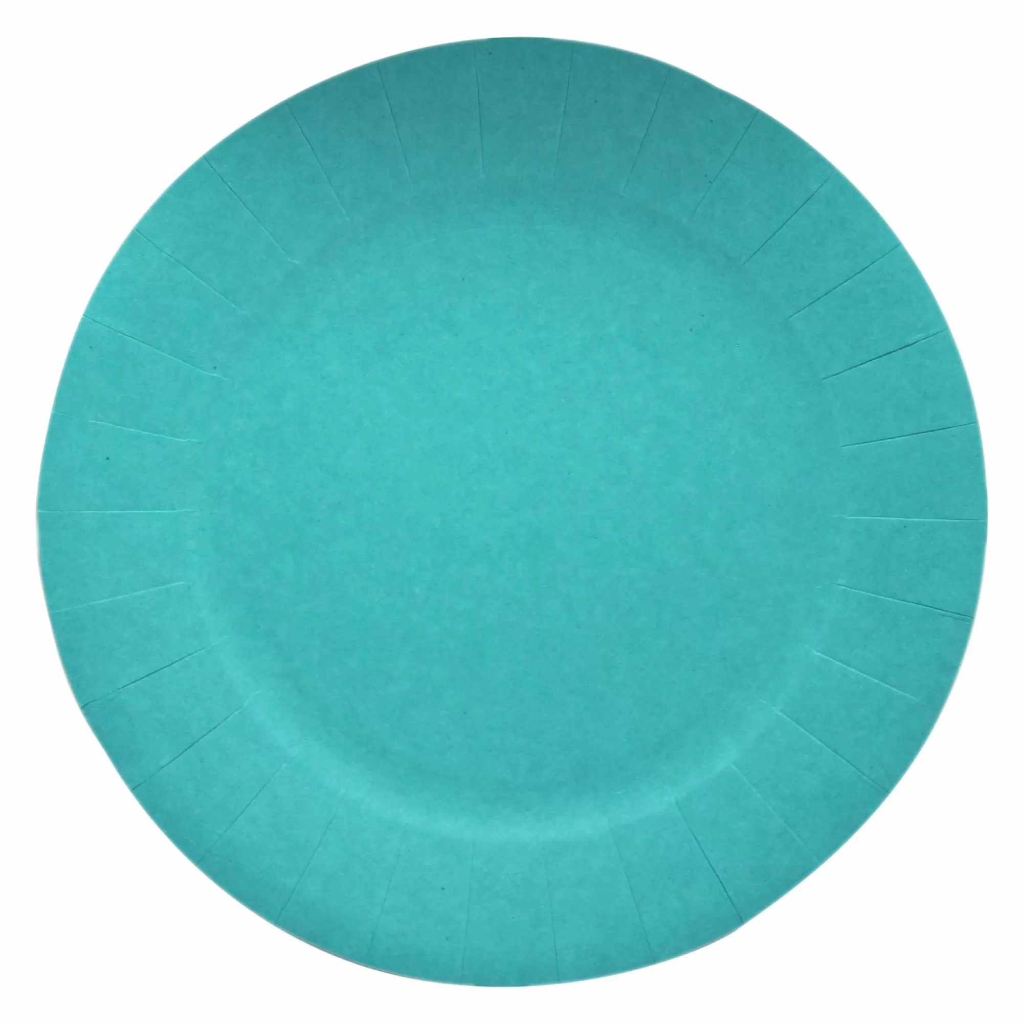 LE NAPPAGE Vaisselle Jetable | Pique-Nique Et Camping<10 assiettes en carton Turquoise