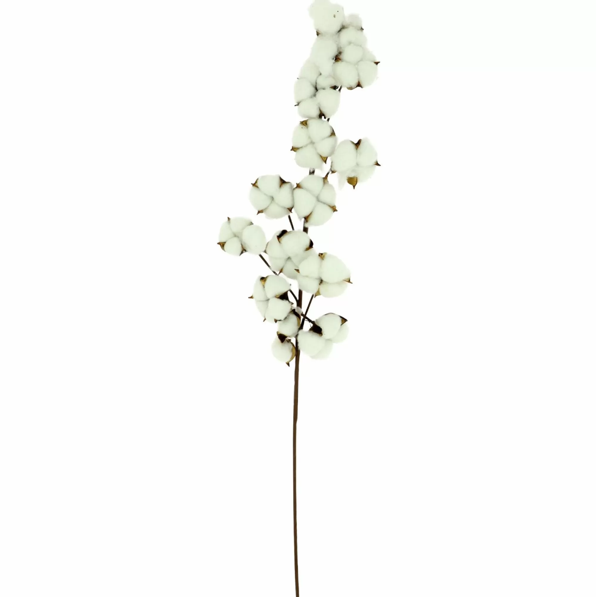 DECLIC HOME Objets Décoratifs<Fleur de coton artificielle 73cm