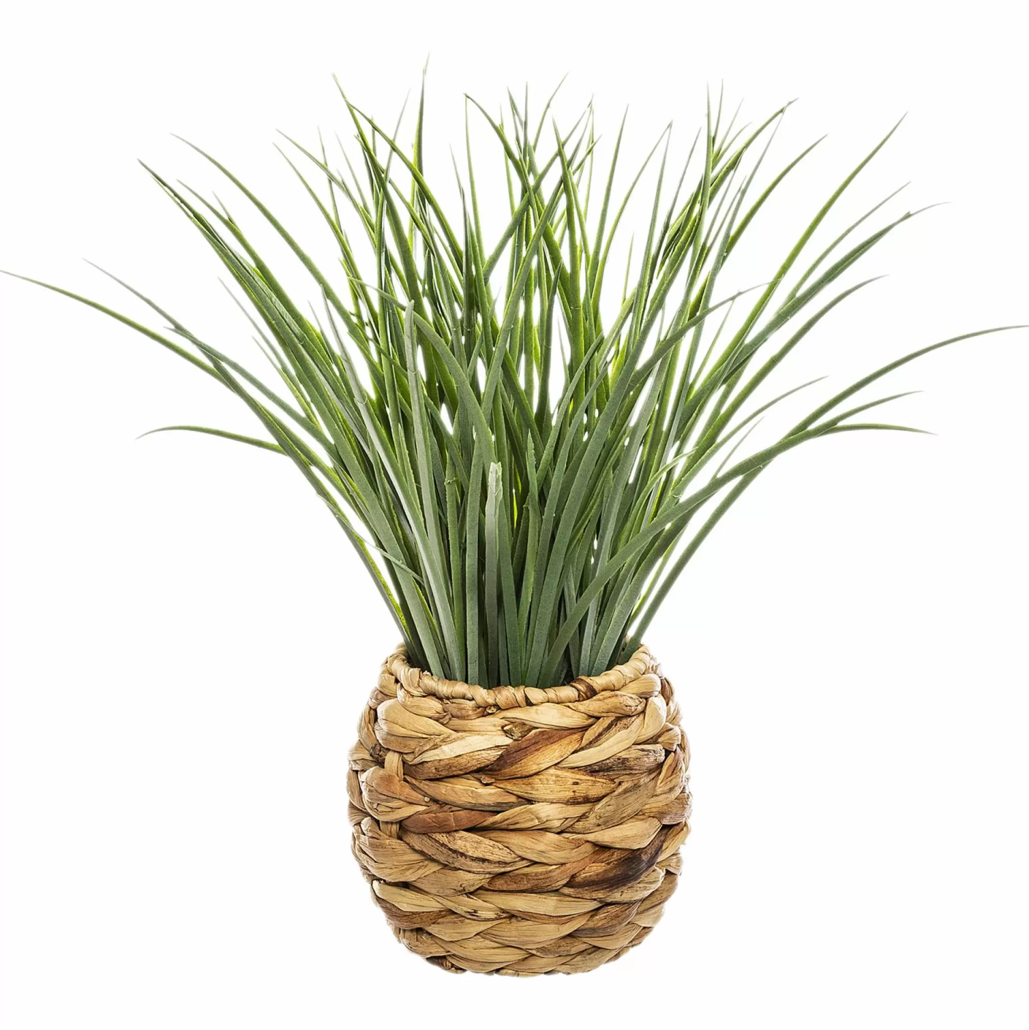 ATMOSPHERA Objets Décoratifs<Herbe en pot tressé