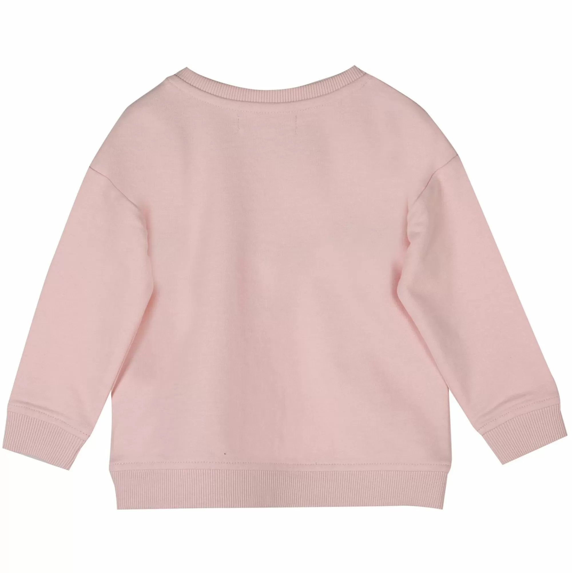 MES PETITS CAILLOUX Hauts | Vêtements<Sweat à message du 3 au 36 mois