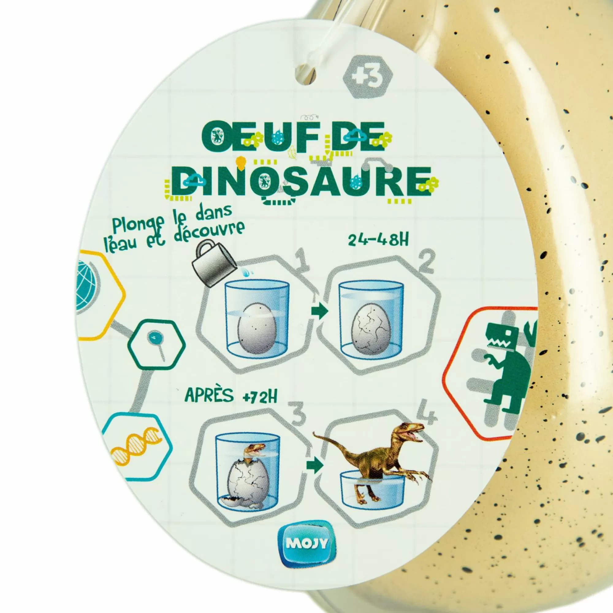 MOJY Jouet | De 2 À 4 Ans<Œuf de dinosaure